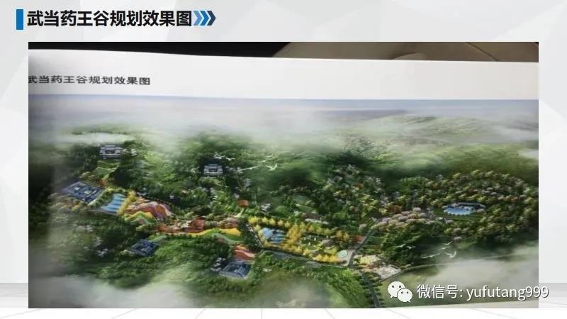 公司简介5