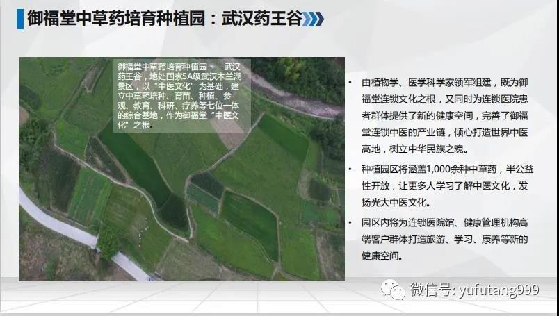 公司简介6